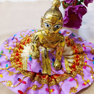 Laddu Gopal DJ Purple Poshak